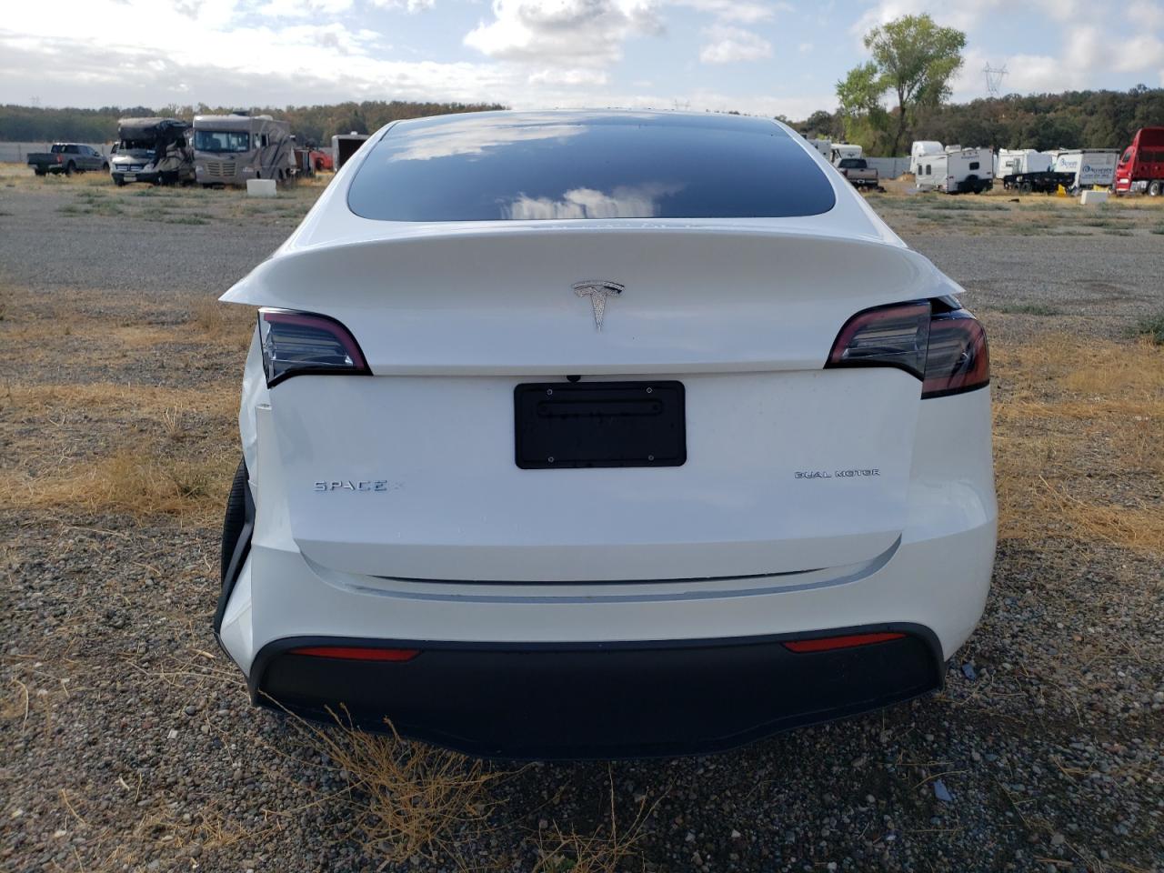 2023 Tesla Model Y VIN: 7SAYGDEE2PF626559 Lot: 71503204