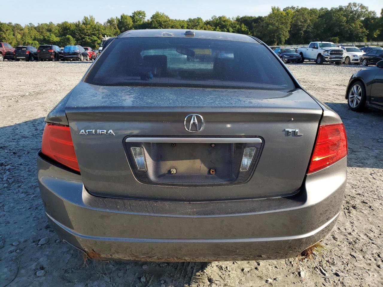 2005 Acura Tl VIN: 19UUA66285A060024 Lot: 71967064