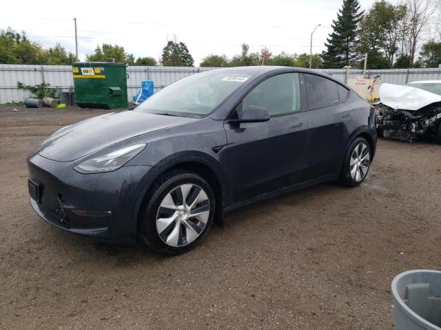 2024 TESLA MODEL Y  for sale at Copart ON - TORONTO