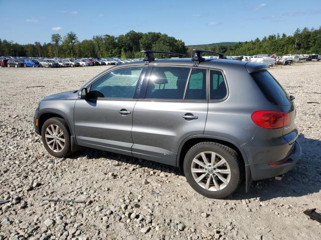  VOLKSWAGEN TIGUAN 2014 Сріблястий