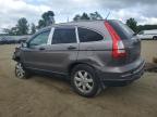 2011 Honda Cr-V Se продається в Windsor, NJ - Front End