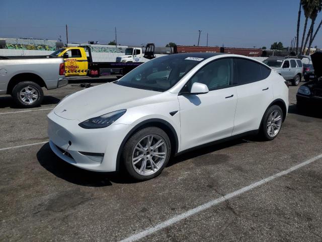 5YJYGDEE6MF271906 Tesla Model Y 