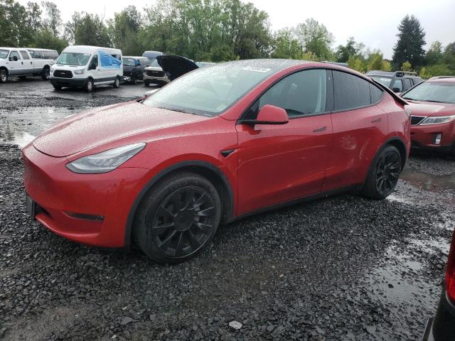 2020 Tesla Model Y 