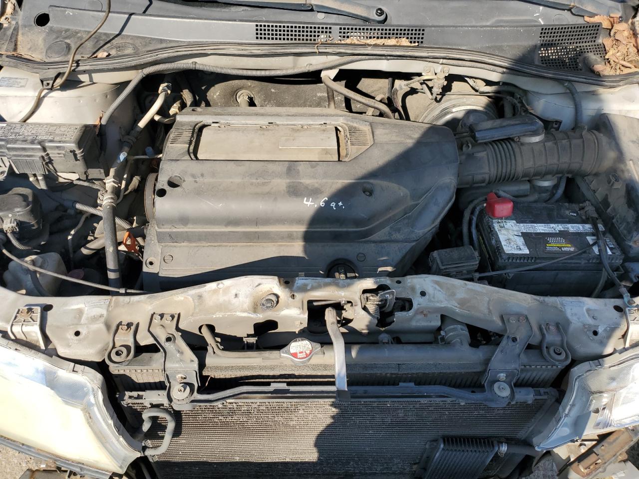 5FNRL180X4B099555 2004 Honda Odyssey Exl