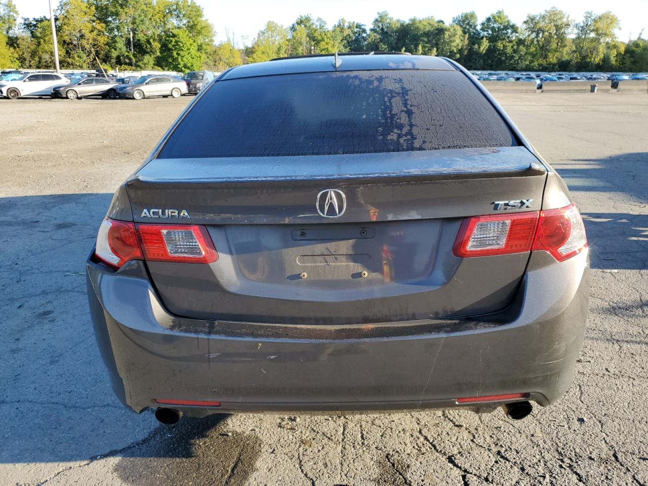 2009 Acura Tsx VIN: JH4CU26659C008534 Lot: 70124894