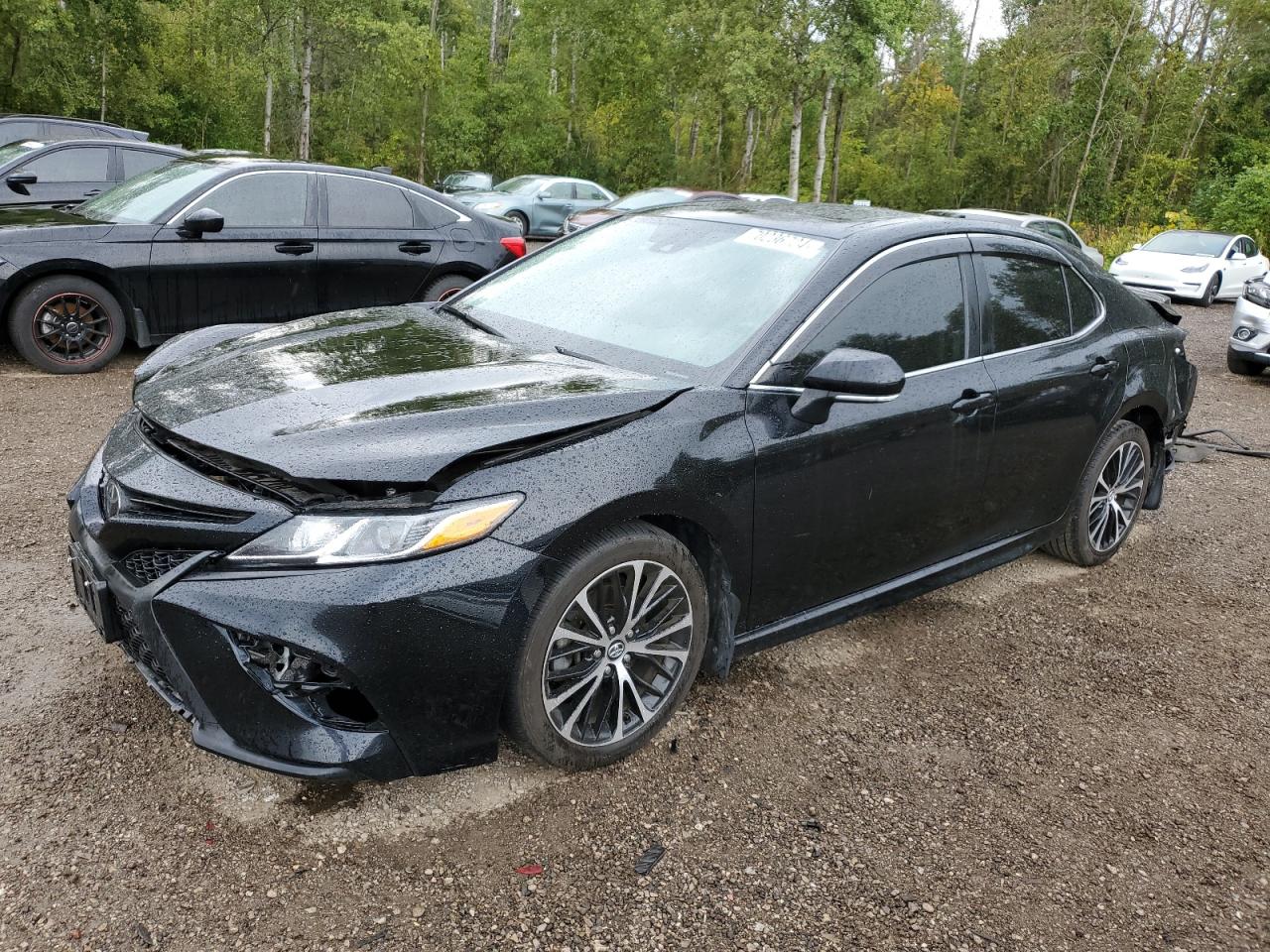 4T1J11AK5LU884906 2020 TOYOTA CAMRY - Image 1