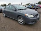 2010 Toyota Corolla Base en Venta en Hillsborough, NJ - Front End