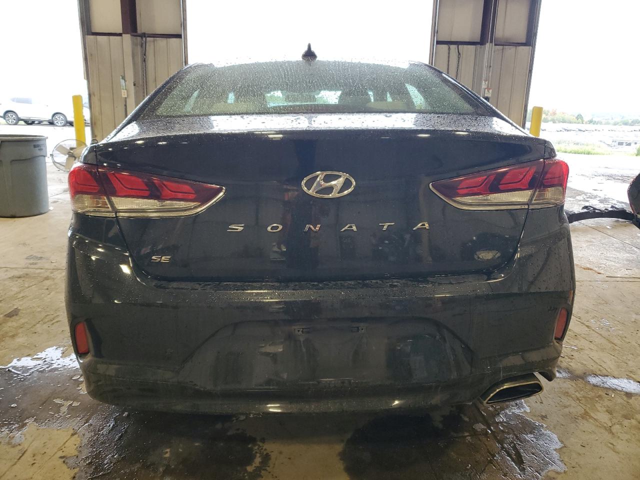 5NPE24AF8KH745885 2019 Hyundai Sonata Se