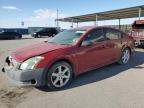 2006 Nissan Maxima Se for Sale in Anthony, TX - Front End