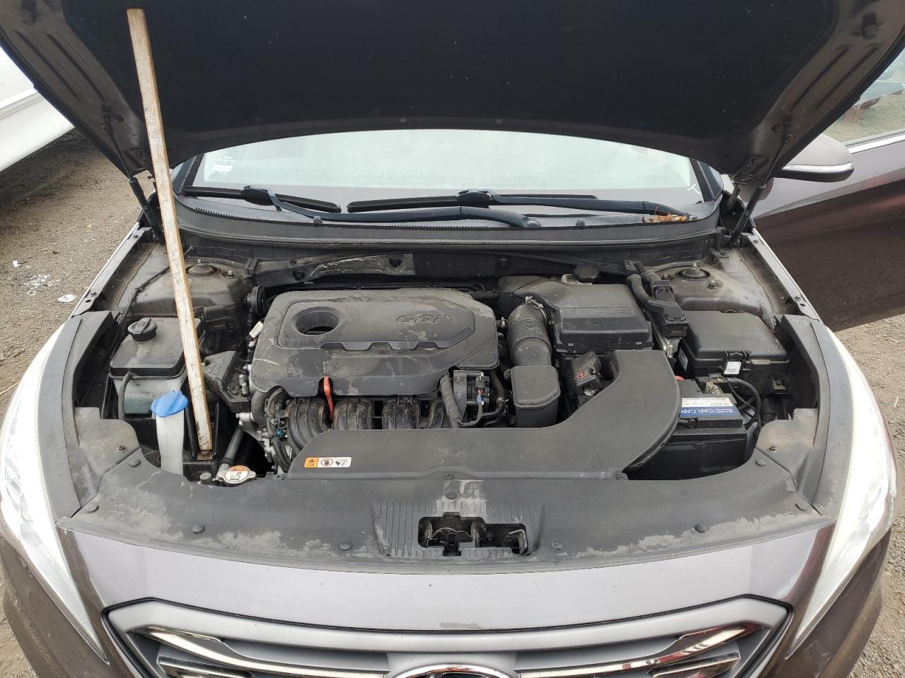 5NPE34AF3GH431310 2016 Hyundai Sonata Sport