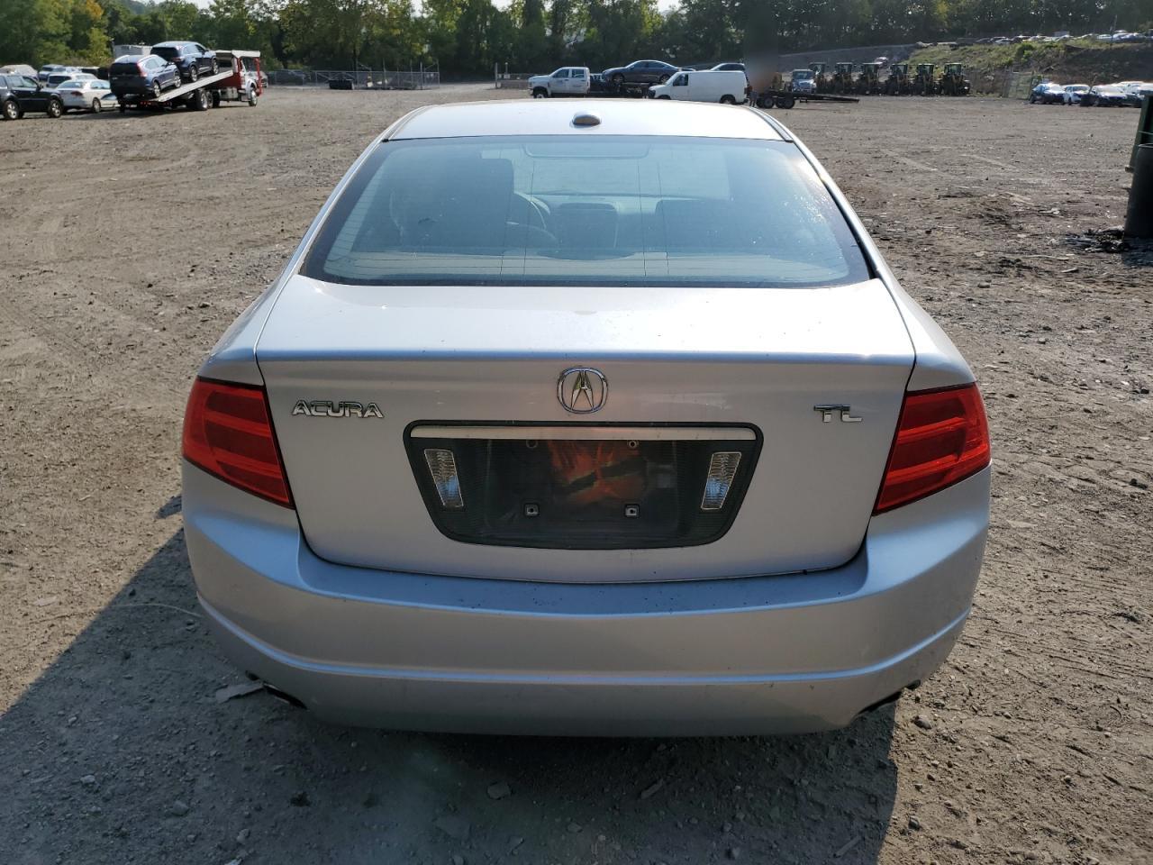 2004 Acura Tl VIN: 19UUA65514A020412 Lot: 69796624