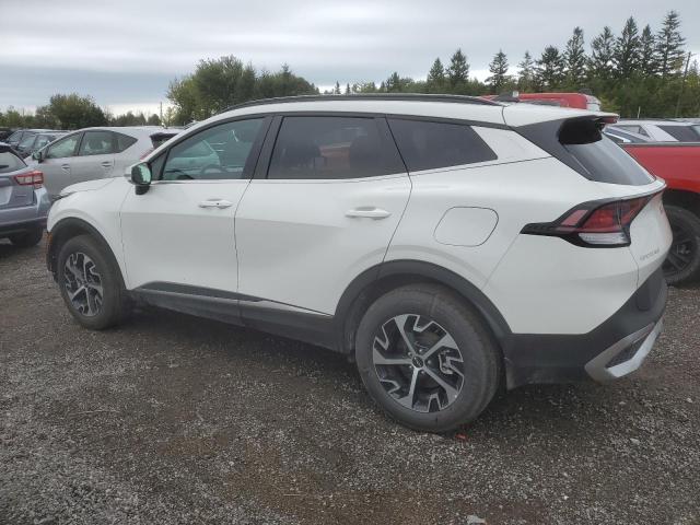  KIA SPORTAGE 2024 Білий