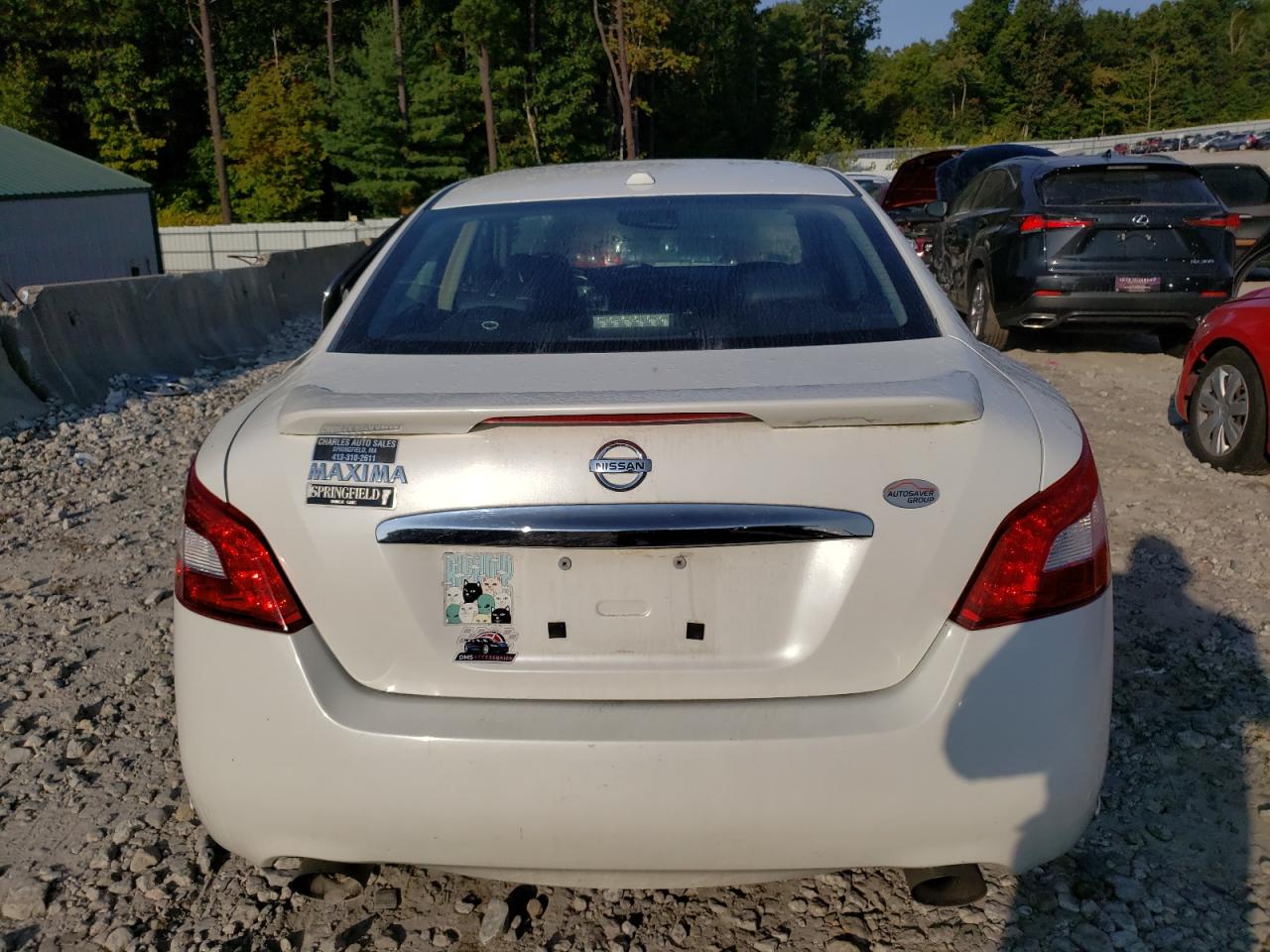 2010 Nissan Maxima S VIN: 1N4AA5AP1AC808048 Lot: 71533564
