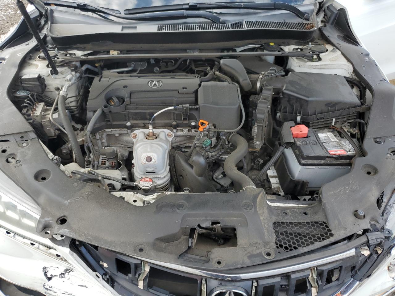 19UUB1F53GA007258 2016 Acura Tlx Tech