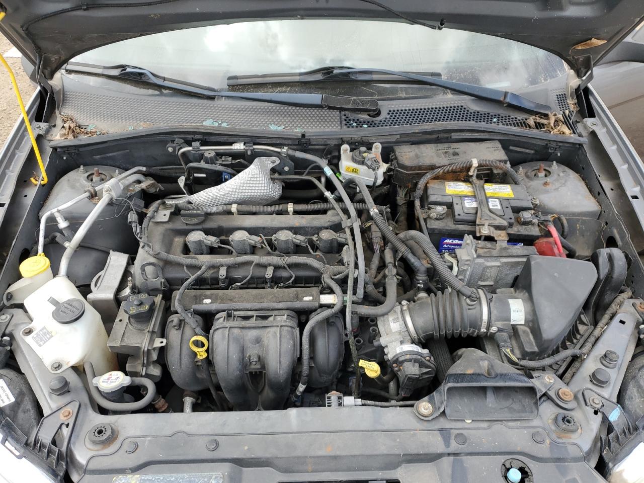 1FAHP3FNXBW143367 2011 Ford Focus Se