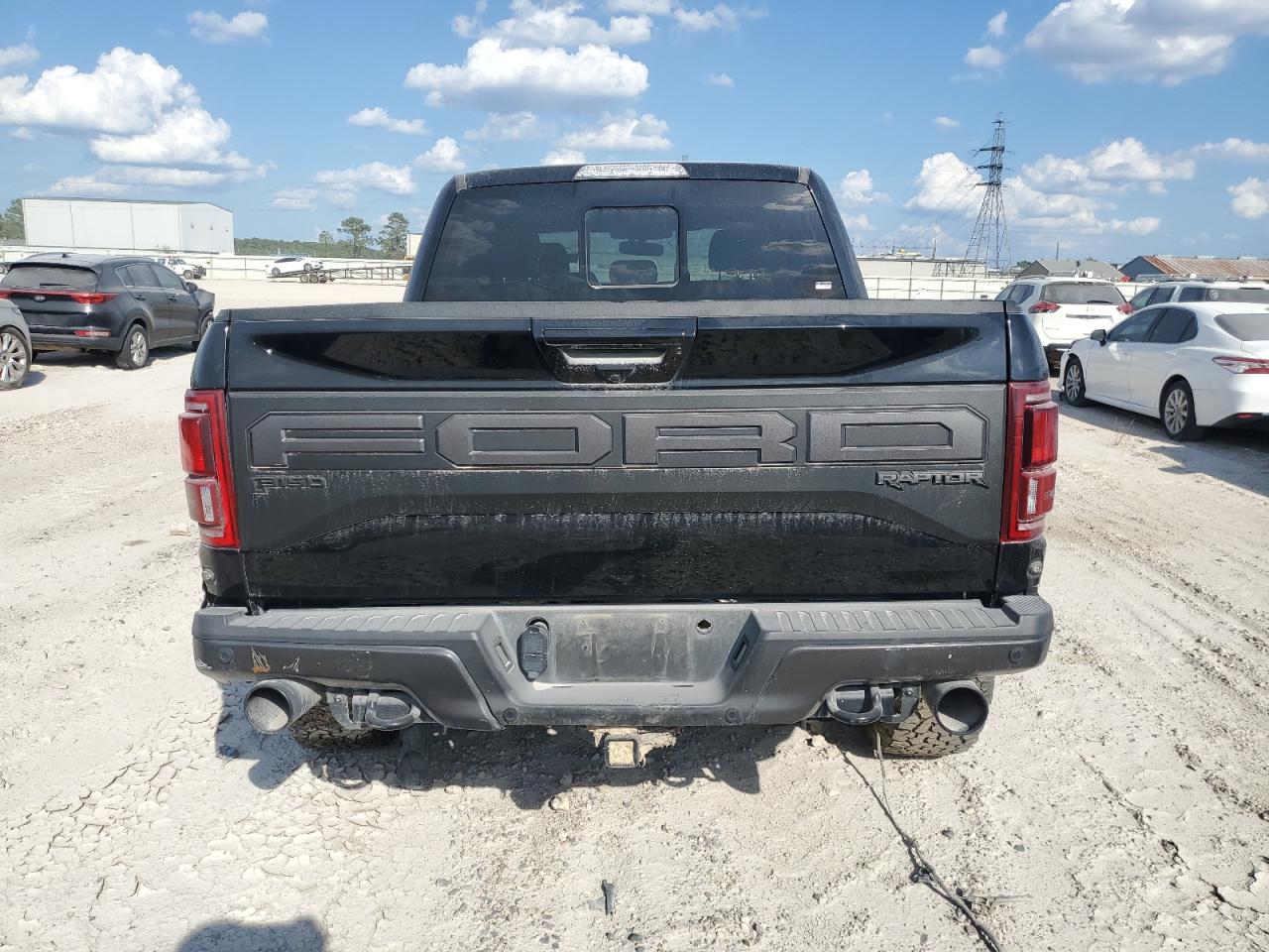 2019 Ford F150 Raptor VIN: 1FTFW1RGXKFB67903 Lot: 71666144