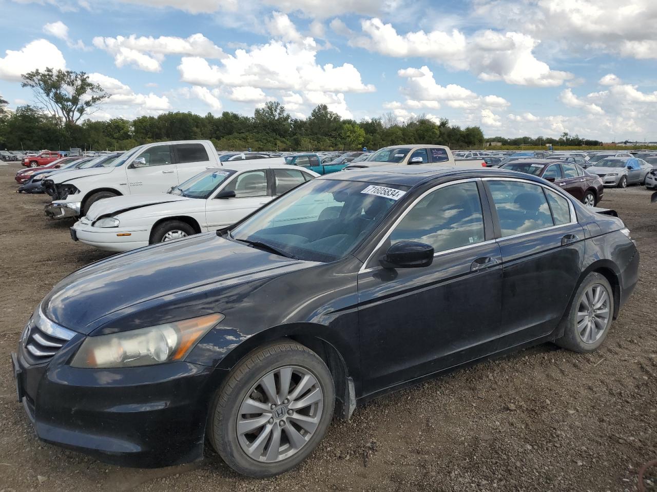 2011 Honda Accord Exl VIN: 1HGCP2F89BA029075 Lot: 71605834