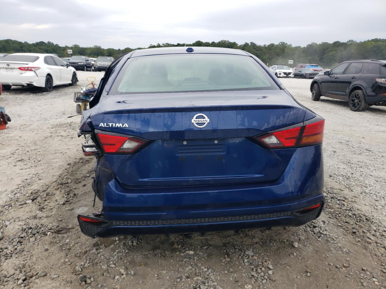 2020 Nissan Altima Platinum VIN: 1N4BL4FW4LN304318 Lot: 71303224