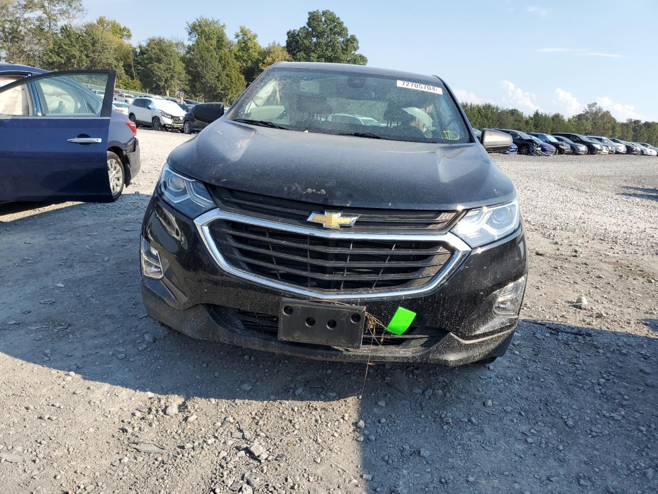 2020 Chevrolet Equinox Ls VIN: 2GNAXHEV9L6254084 Lot: 72705704