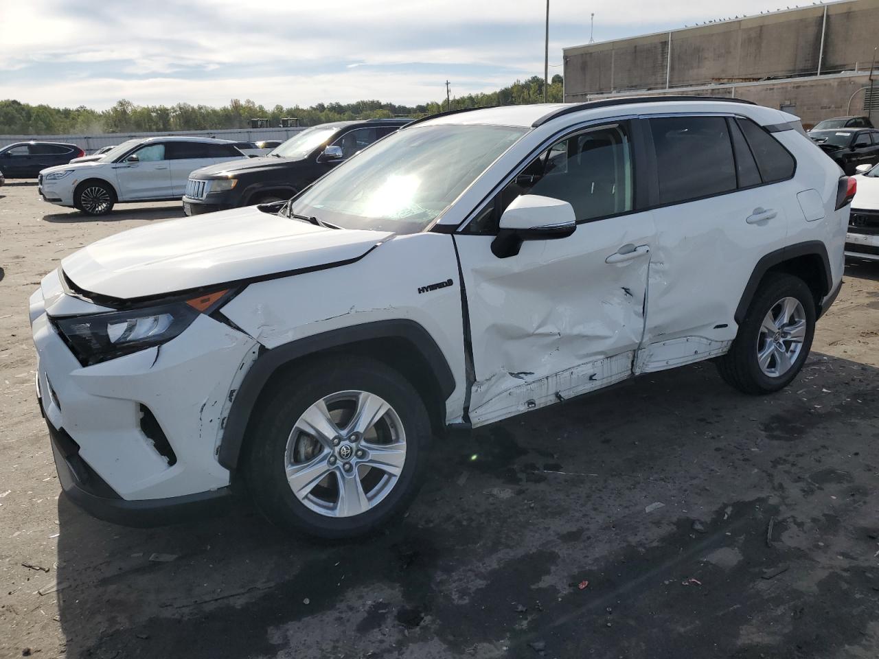 2019 Toyota Rav4 Le VIN: JTMMWRFV1KD043460 Lot: 70181734