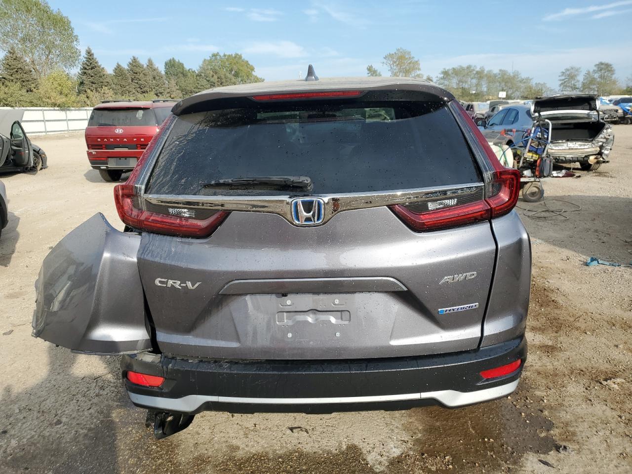 2022 Honda Cr-V Exl VIN: 5J6RT6H81NL030989 Lot: 72005974