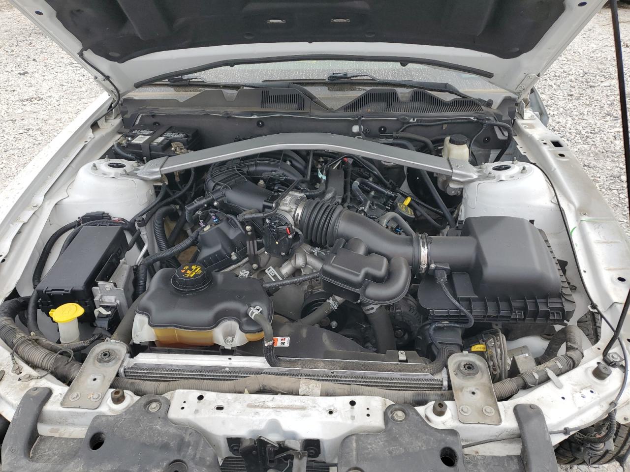 2014 Ford Mustang VIN: 1ZVBP8EM6E5304536 Lot: 74669134