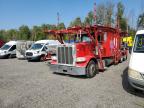 2016 PETERBILT 389  à vendre chez Copart ON - COOKSTOWN