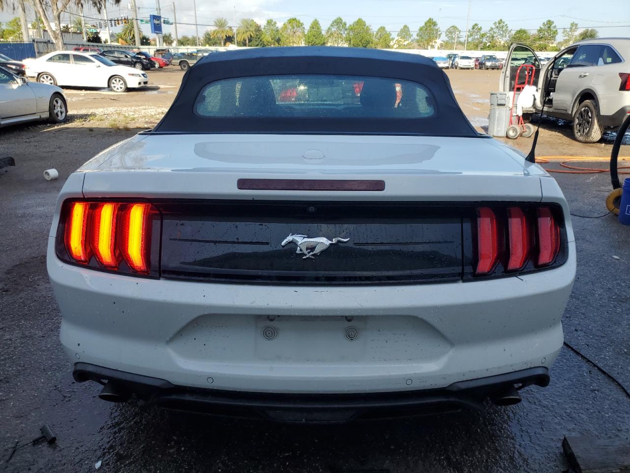 2019 Ford Mustang VIN: 1FATP8UH5K5122341 Lot: 71673344