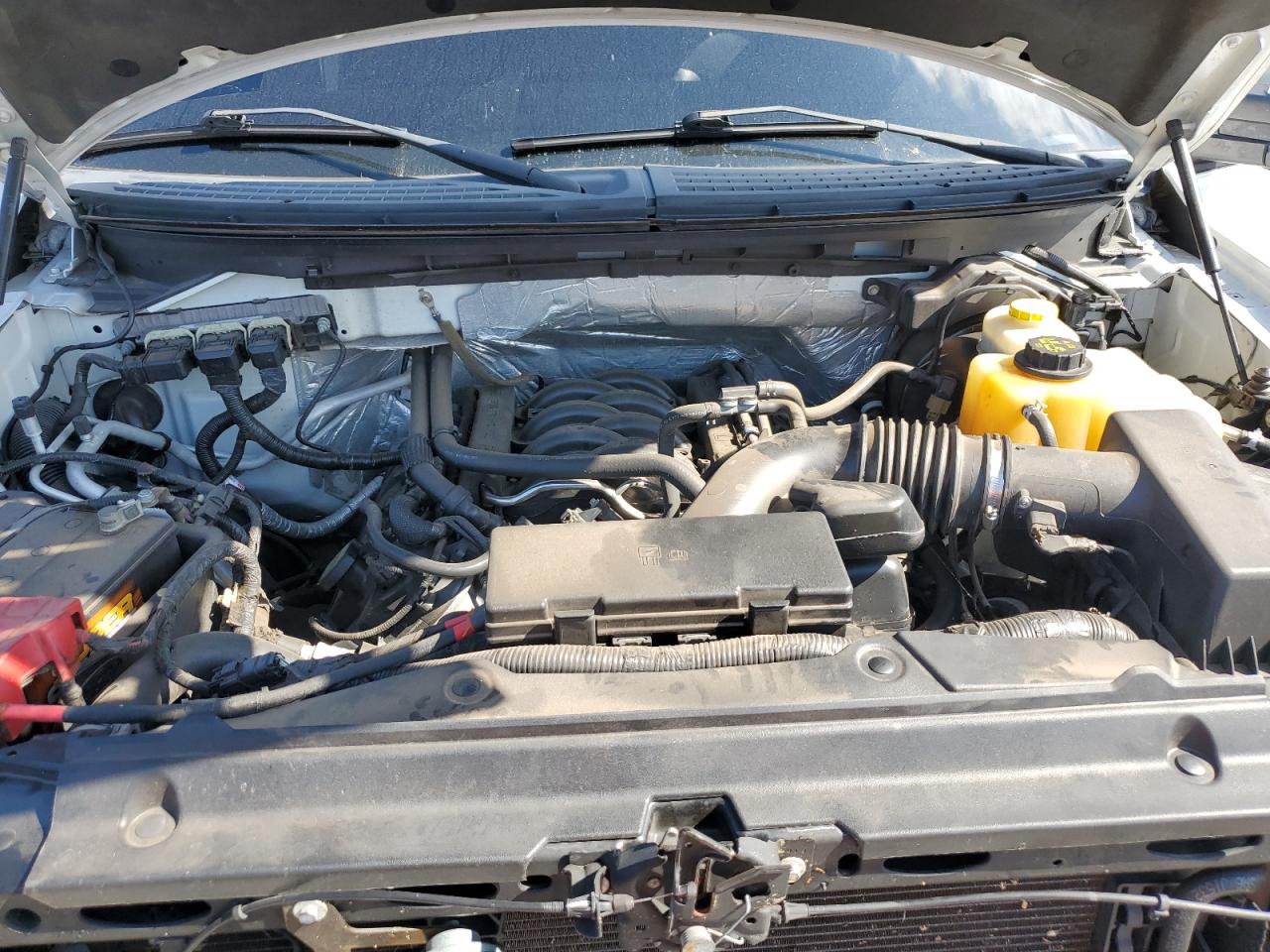 2014 Ford F150 Supercrew VIN: 1FTFW1EF6EKF56241 Lot: 72393634