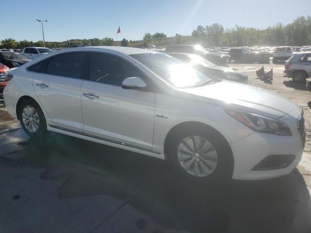  HYUNDAI SONATA 2016 White