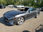 2019 FORD MUSTANG GT   à vendre chez Copart ON - COOKSTOWN