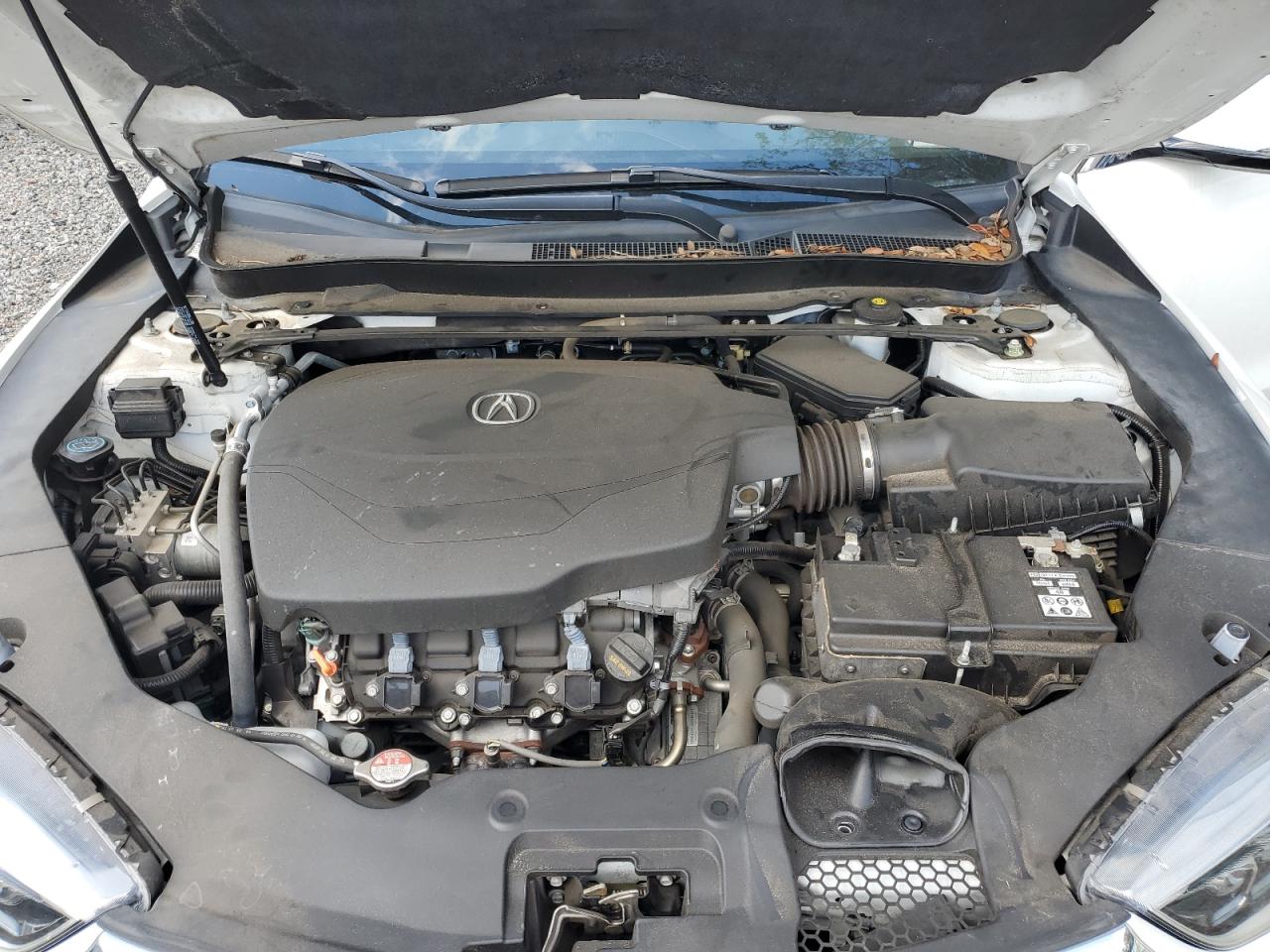 19UUB2F42KA008908 2019 Acura Tlx Technology