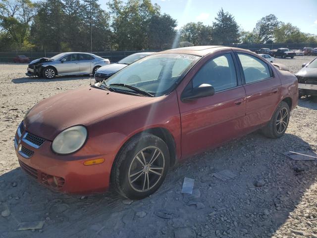 2004 Dodge Neon Sxt იყიდება Madisonville-ში, TN - Rear End