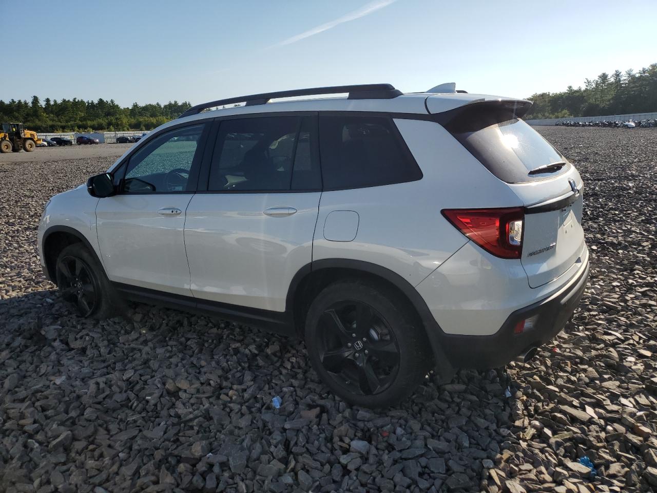 2019 Honda Passport Elite VIN: 5FNYF8H07KB001168 Lot: 70059934