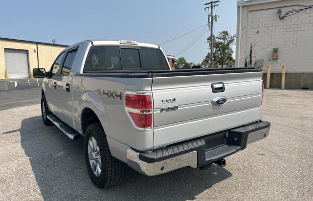 Pickups FORD F-150 2014 Silver