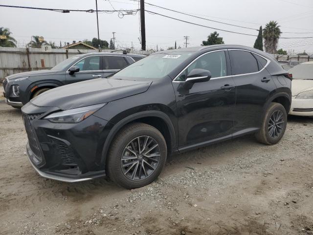 2024 Lexus Nx 250 Base