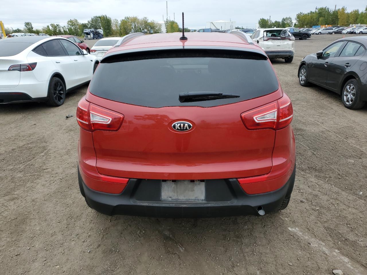 2013 Kia Sportage Ex VIN: KNDPCCA21D7399411 Lot: 73143904