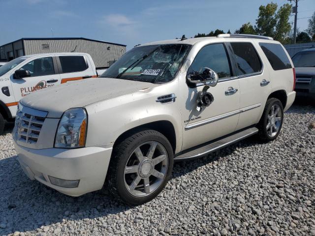 2011 Cadillac Escalade Luxury