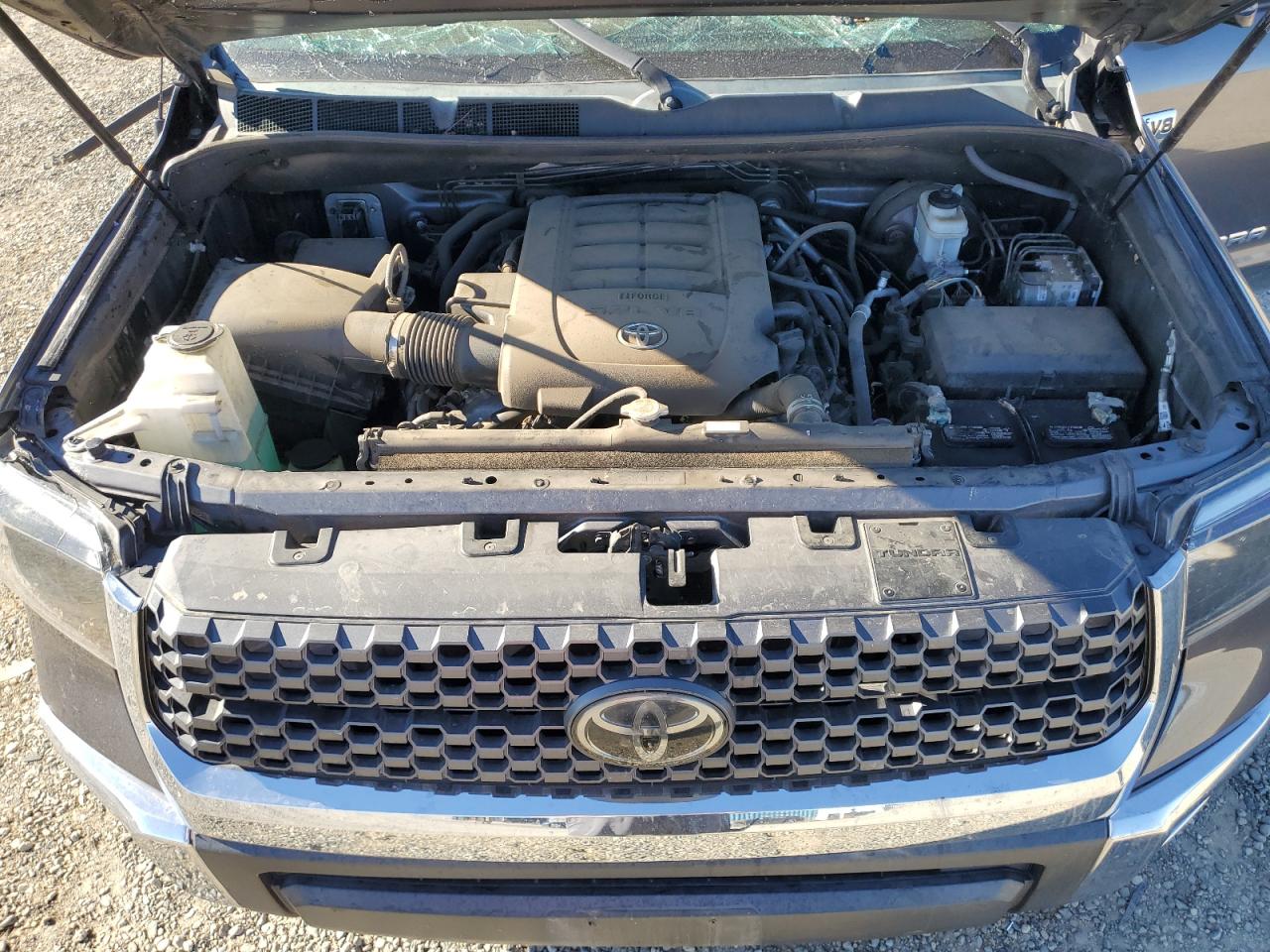 5TFDY5F17KX869258 2019 Toyota Tundra Crewmax Sr5