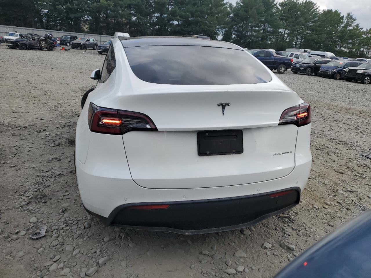 5YJYGDEE4LF035317 2020 Tesla Model Y