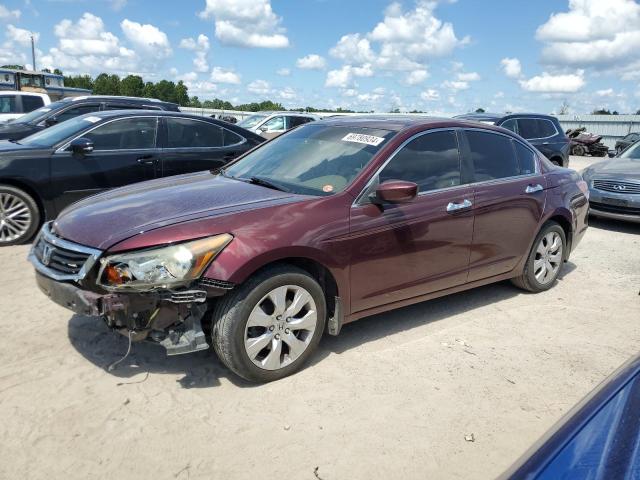 2008 Honda Accord Exl продається в Harleyville, SC - Front End