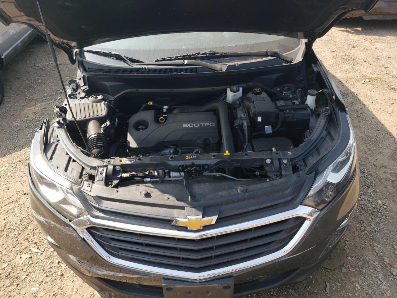 2GNAXKEV4K6207850 2019 Chevrolet Equinox Lt