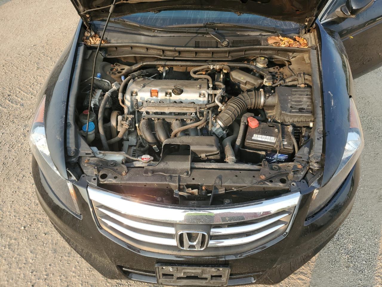 1HGCP2F81CA800386 2012 Honda Accord Exl