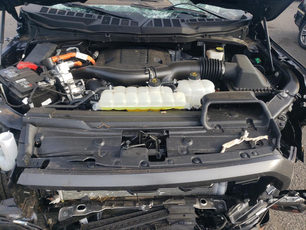 2023 Ford F150 Supercrew VIN: 1FTFW1ED4PFB32048 Lot: 71659384