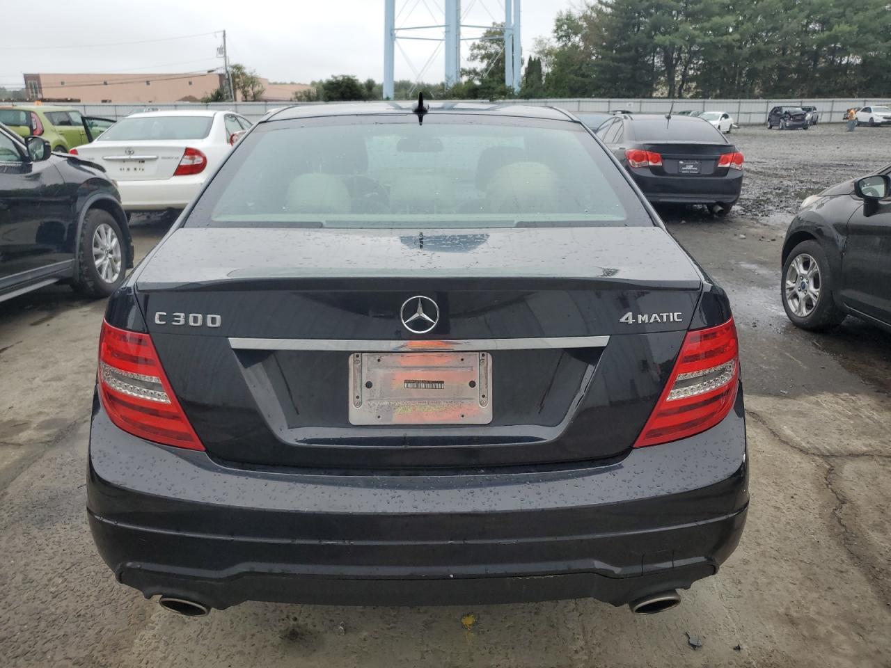 2013 Mercedes-Benz C 300 4Matic VIN: WDDGF8AB7DR246319 Lot: 72734784