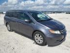 2015 Honda Odyssey Exl за продажба в New Braunfels, TX - Hail