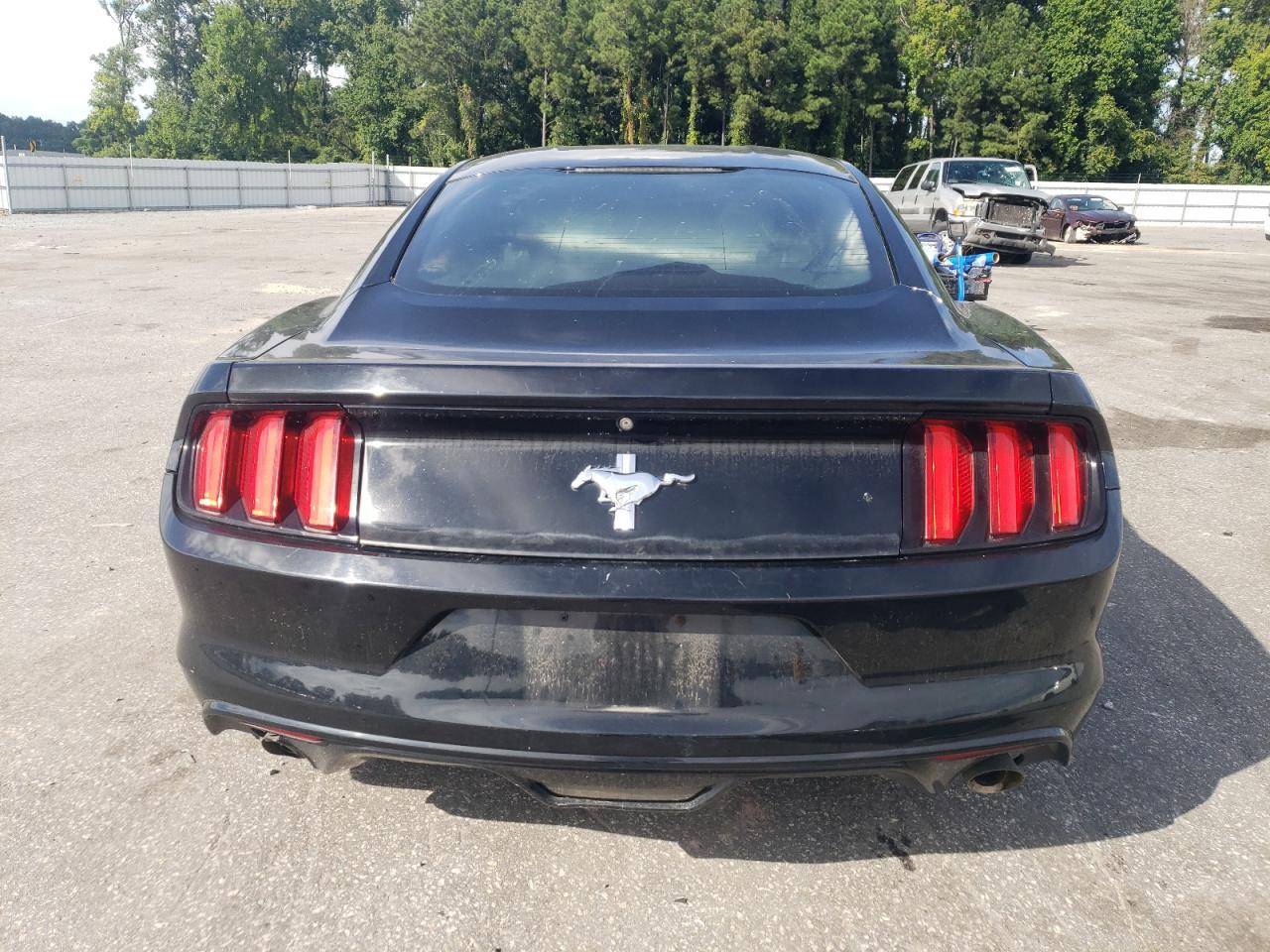 2015 Ford Mustang VIN: 1FA6P8AM6F5429358 Lot: 70050804