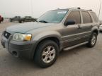 2005 Ford Escape Xlt na sprzedaż w North Las Vegas, NV - Minor Dent/Scratches