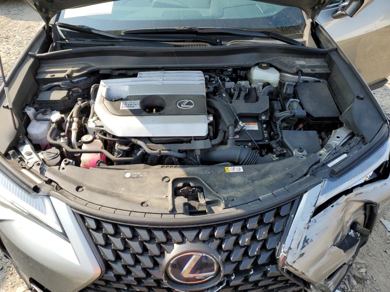 2020 Lexus Ux 250H VIN: JTHP9JBH4L2025794 Lot: 69611284