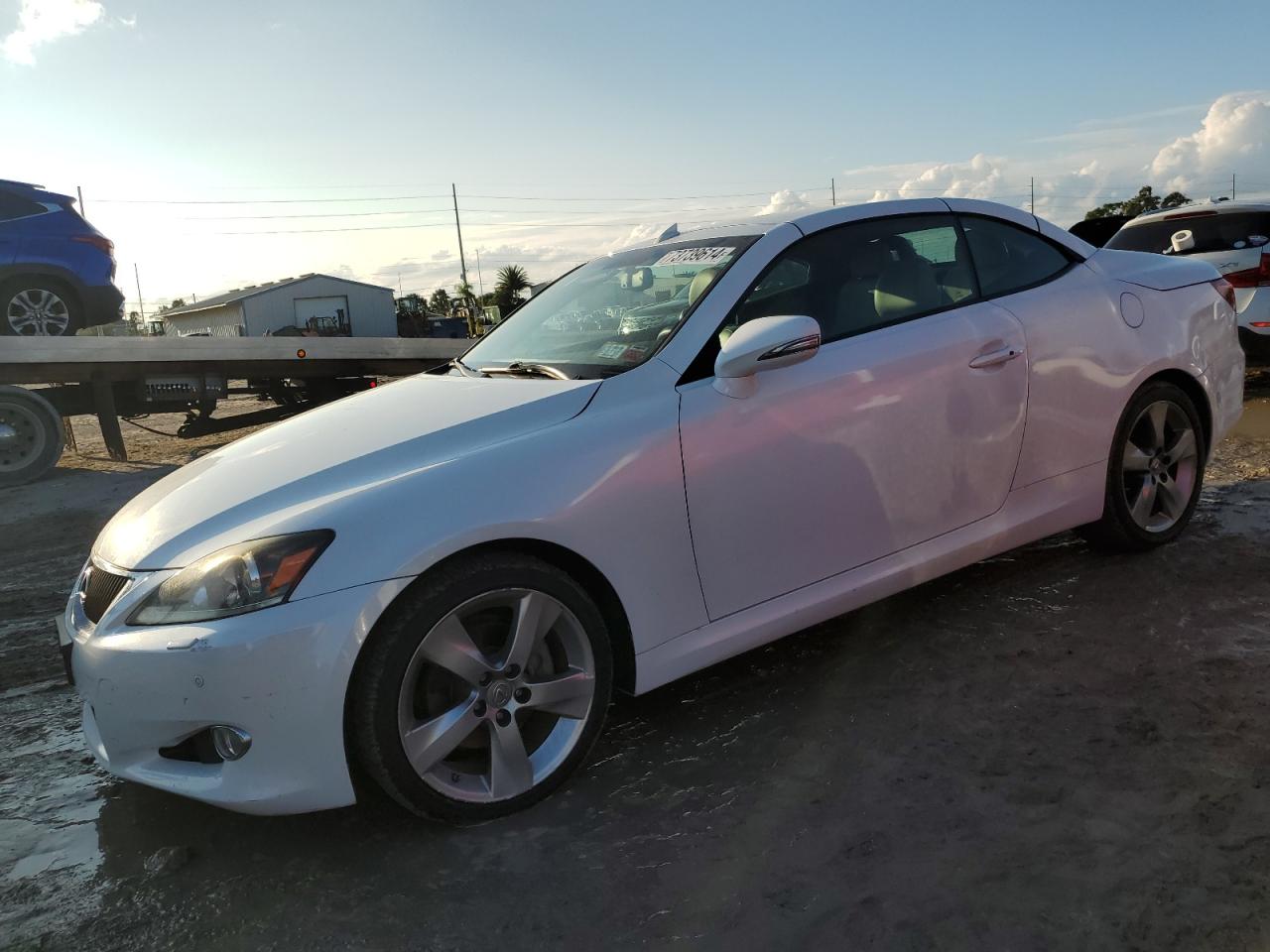 Lexus IS